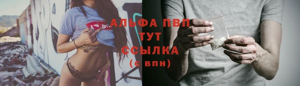 ешки Алексин