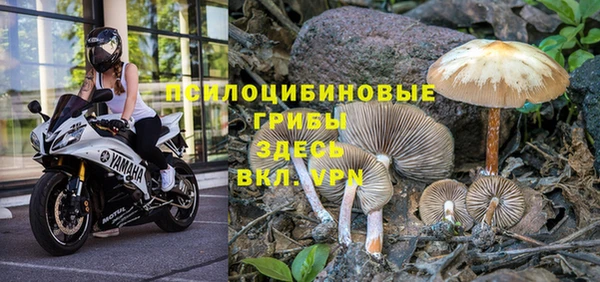 ешки Алексин