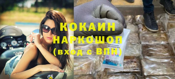 ешки Алексин