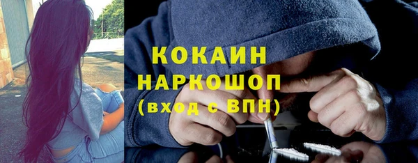 ешки Алексин