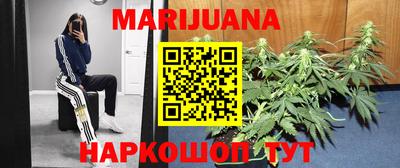 Альфа ПВП Коммунар