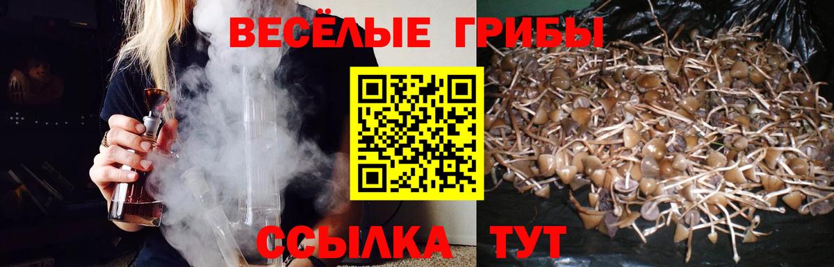 Галлюциногенные грибы Psilocybine cubensis  где купить наркотик  Ижевск  Галлюциногенные грибы мухоморы  Вход с VPN 